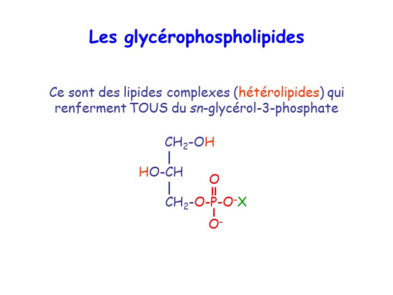 Les glycérophospholipides Ce sont des lipides complexes (hétérolipides) qui renferment TOUS du sn-glycérol-3-phosphate
